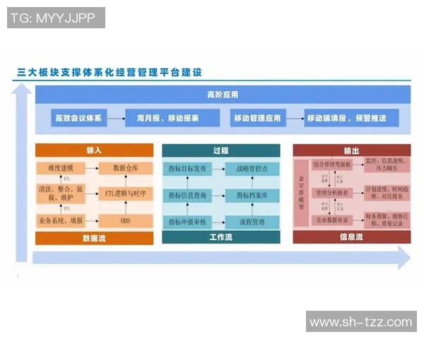 基于统计分析方法探讨大数据时代信息处理与决策优化的应用研究